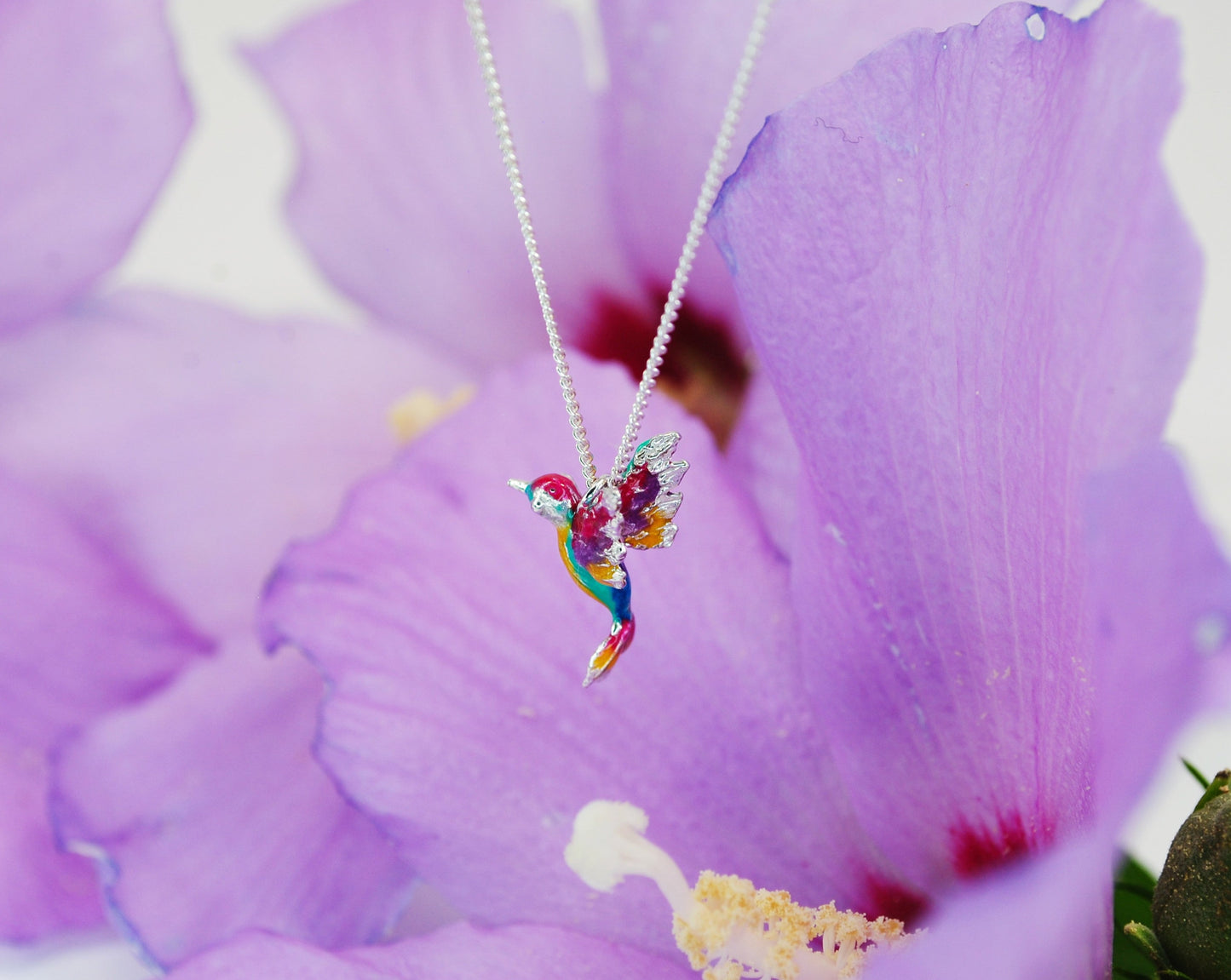 Colibrì 3
