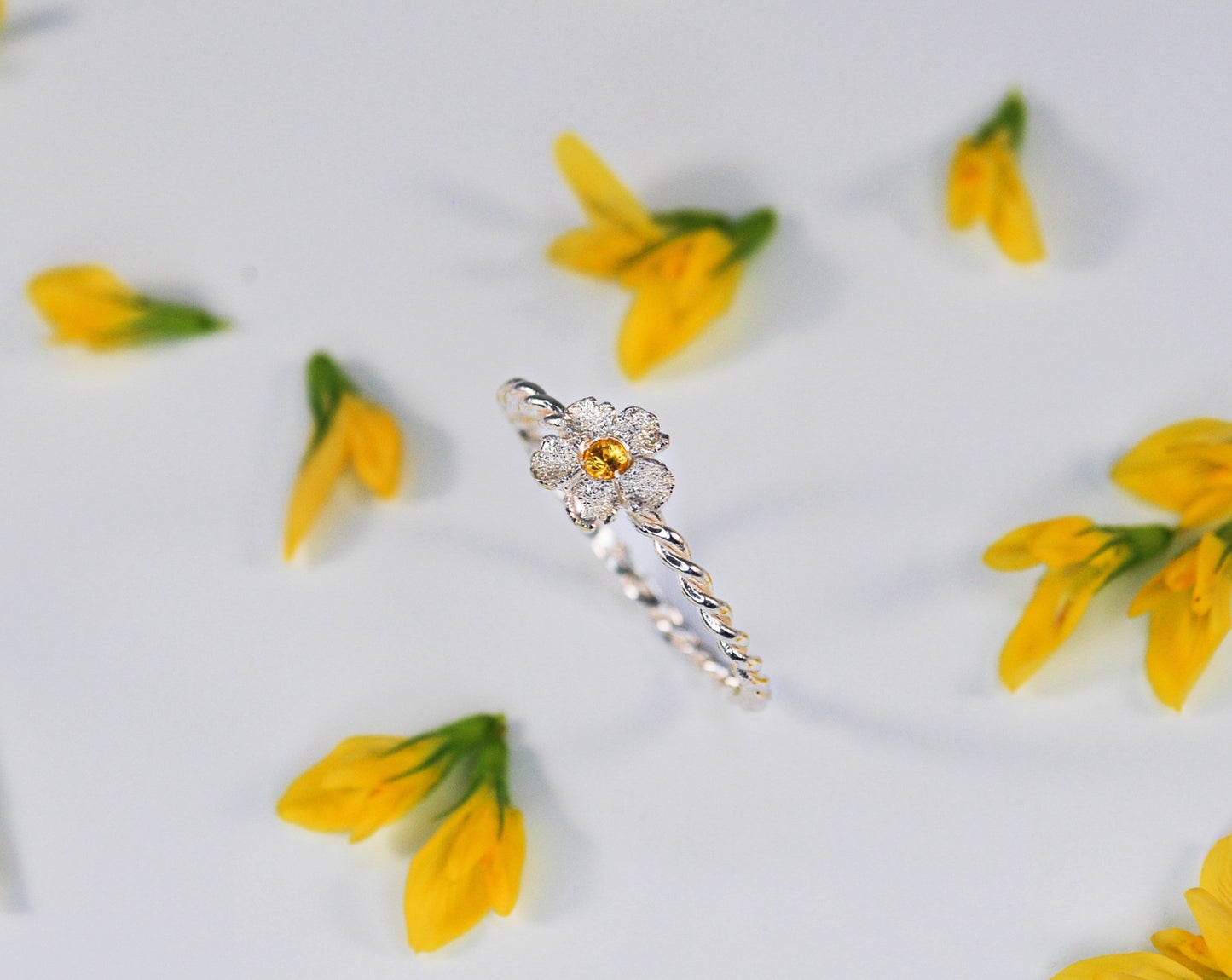 Fiore Di Ciliegio