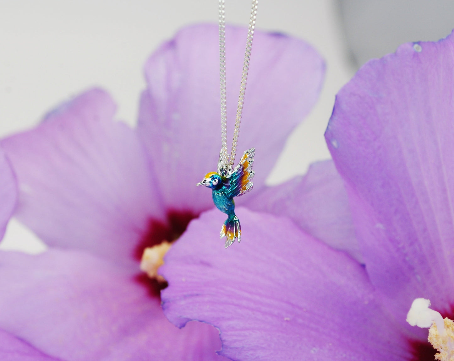 Colibrì 2