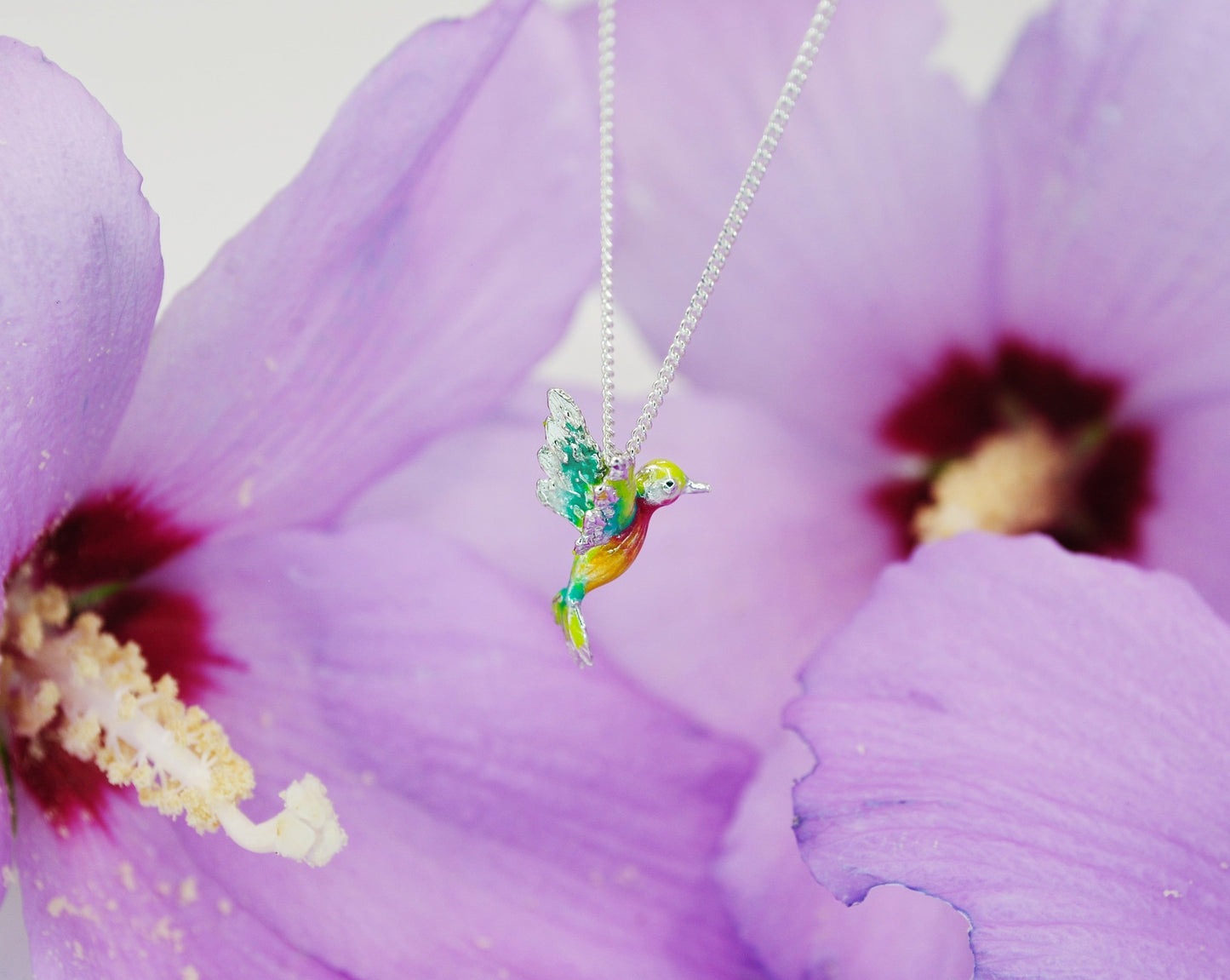 Colibrì 1